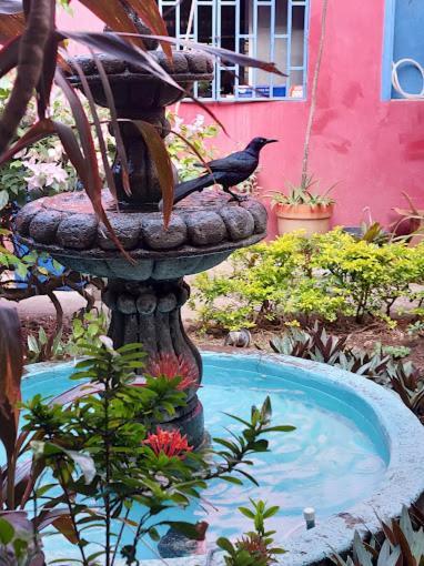 Estrella Beachfront Hotel San Juan del Sur Eksteriør billede